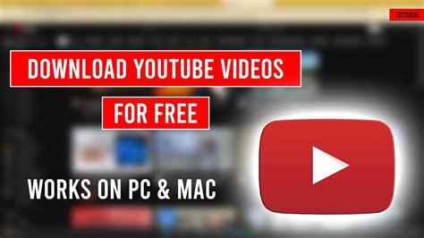 videos free.
